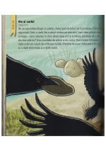 Biblia pentru un an 365 de povesti si rugăciuni - imagine 2