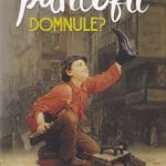 Să vă lustruiesc pantofii Domnule?