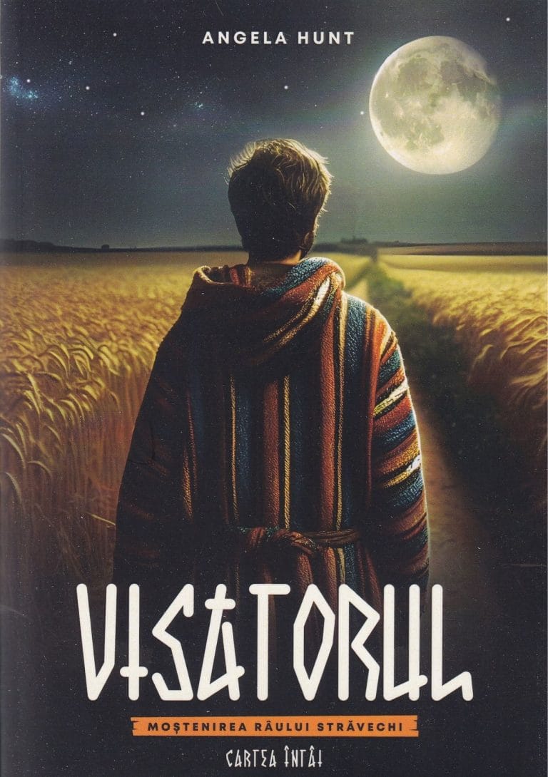 Visatorul