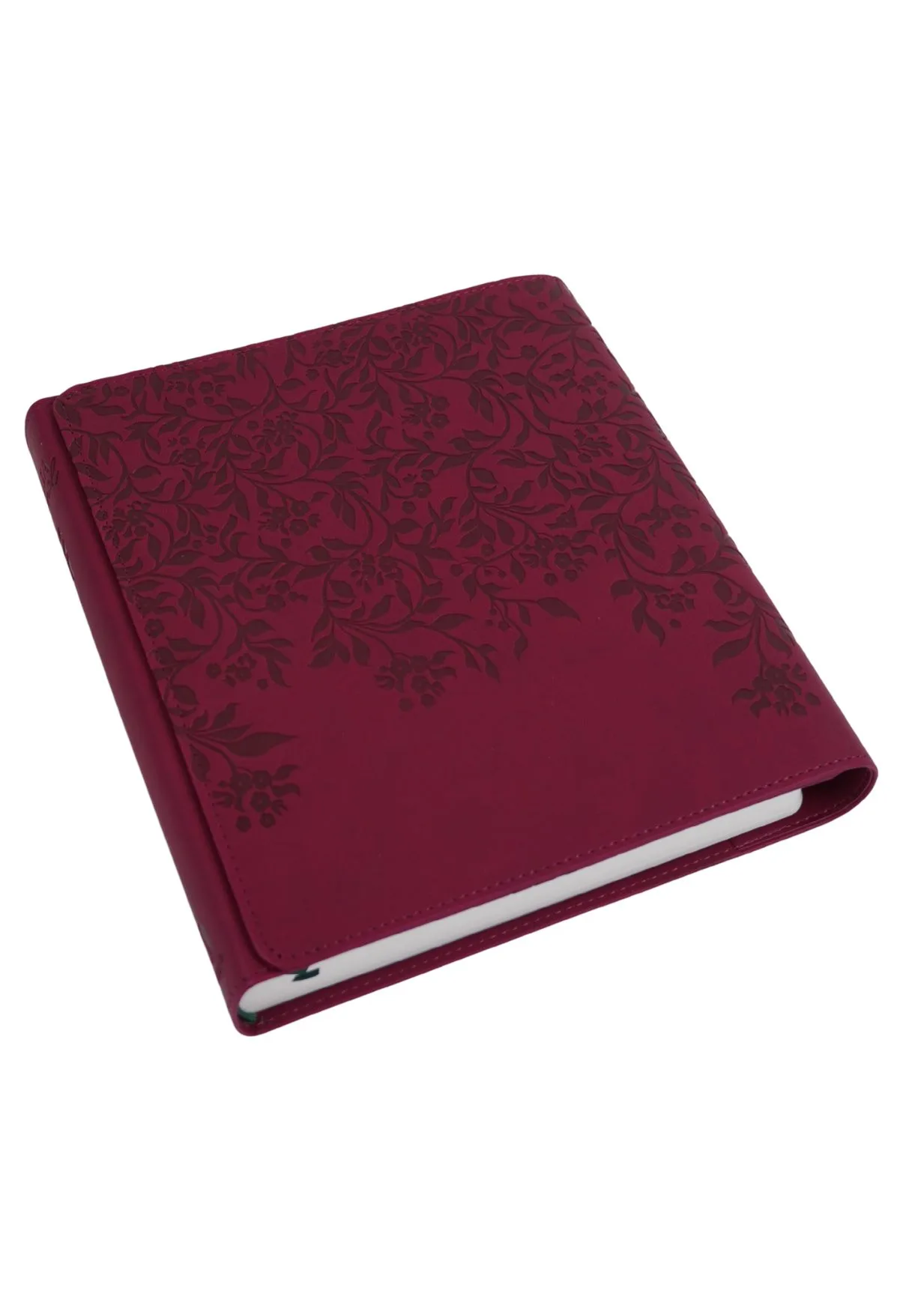 Biblia Jurnal Artistic 1 Biblia Jurnal Artistic