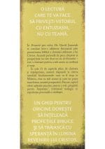 Fereastra spre viitor - imagine 4