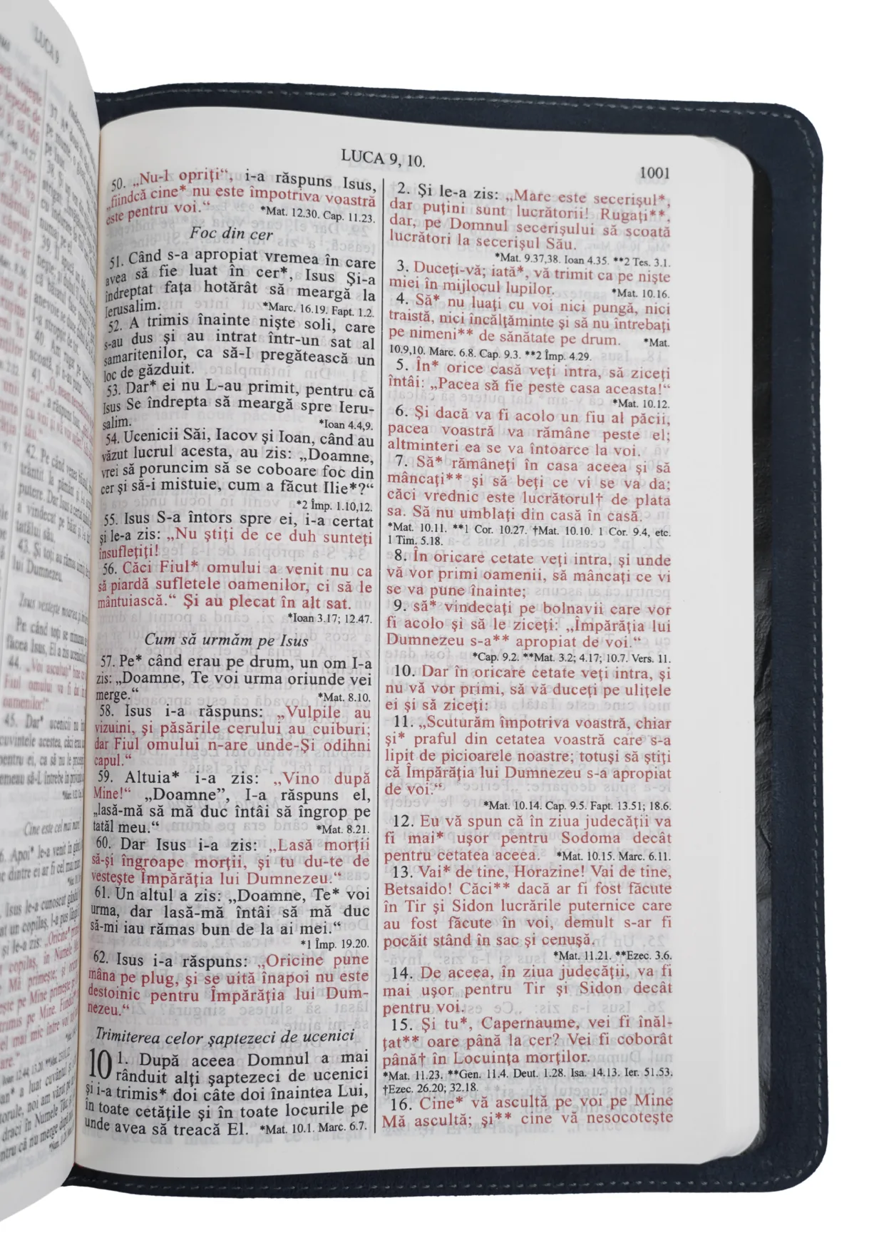 Biblie mare TI Gri mat - Piele naturala - imagine 2