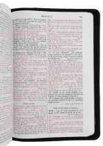 Biblie mare TI Verde - Piele naturala - imagine 2