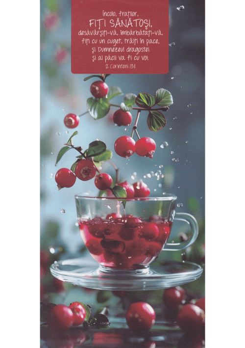 Carnetel cu magnet 2 Corinteni 13:11