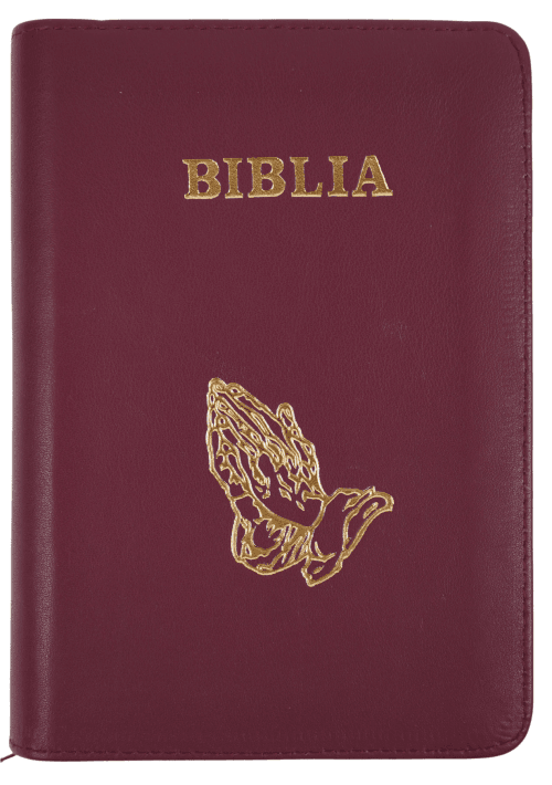 Biblie medie 057 ZTI Visiniu Maini in rugaciune