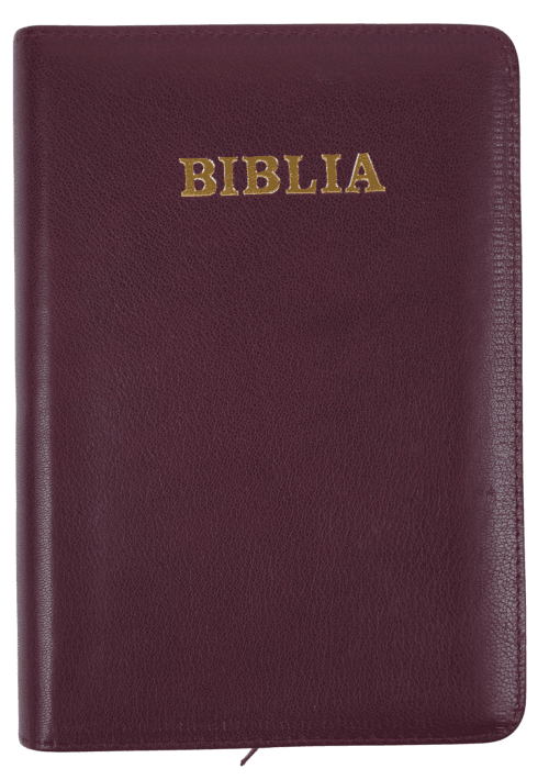 Biblie medie 057 ZTI Visiniu inchis