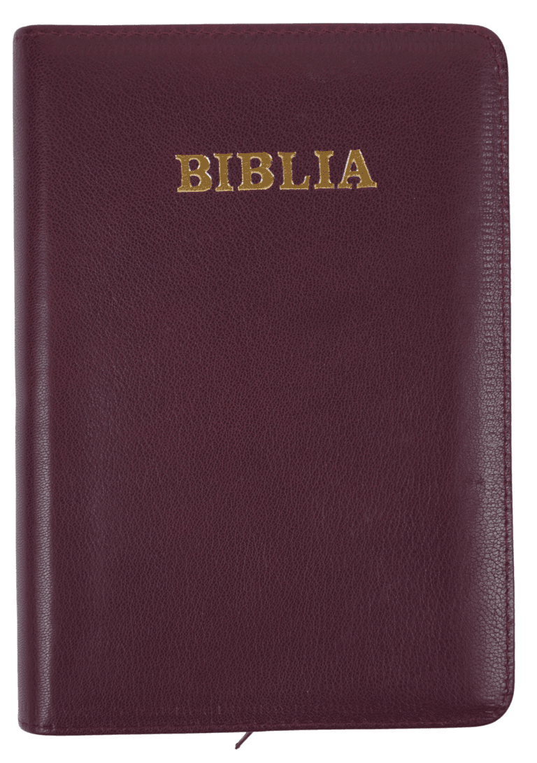 Biblie medie 057 ZTI Visiniu inchis