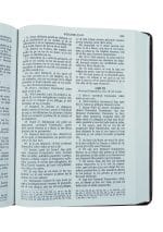 Biblie ortodoxă 073 vișiniu închis cu cruce margini albe - imagine 3