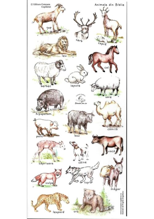 Abțibilduri tematică biblică Animale