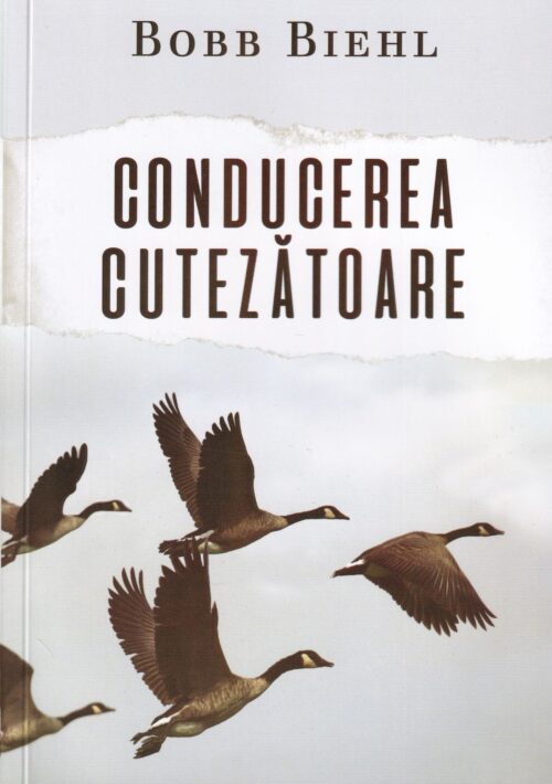 Conducerea cutezătoare