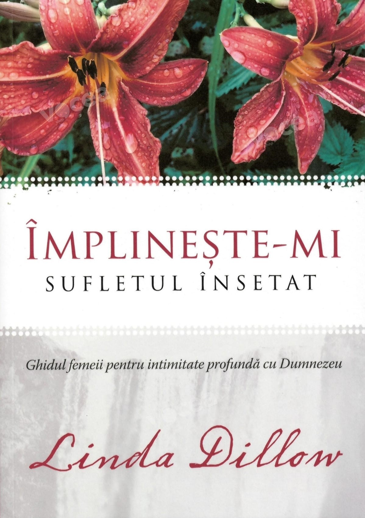 Acasă 22 Împlinește-mi sufletul însetat