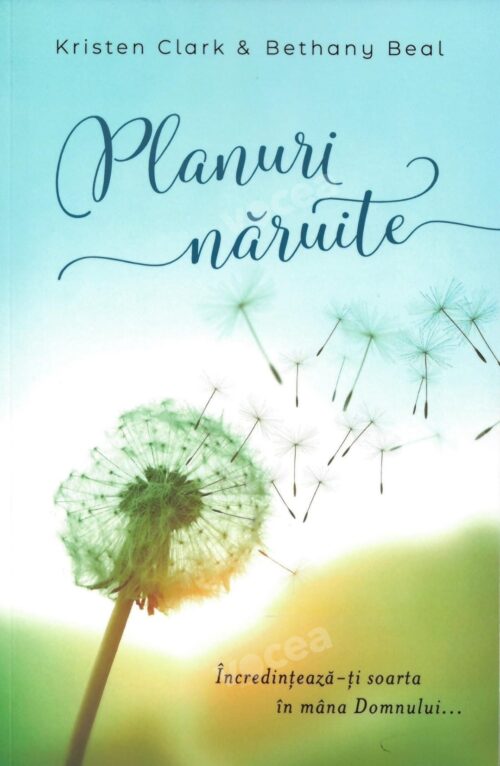Planuri năruite
